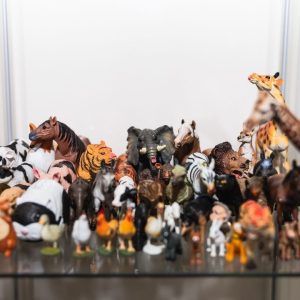 Vista frontal de una vitrina con animales de juguete en una sesión de terapia en Mon Psicología